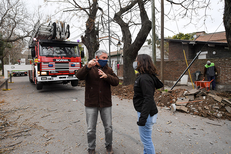 San Fernando controló el estado de árboles antiguos en Punta Chica