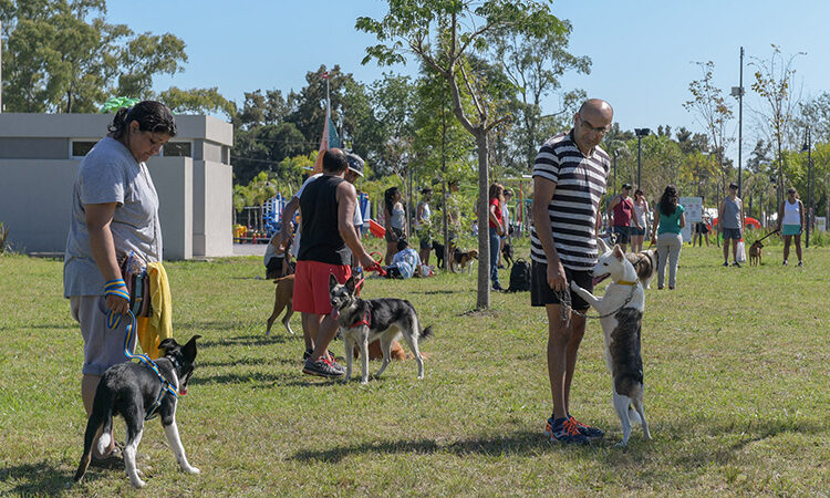 Vuelve a San Fernando el Taller de Adiestramiento Canino y Tenencia Responsable