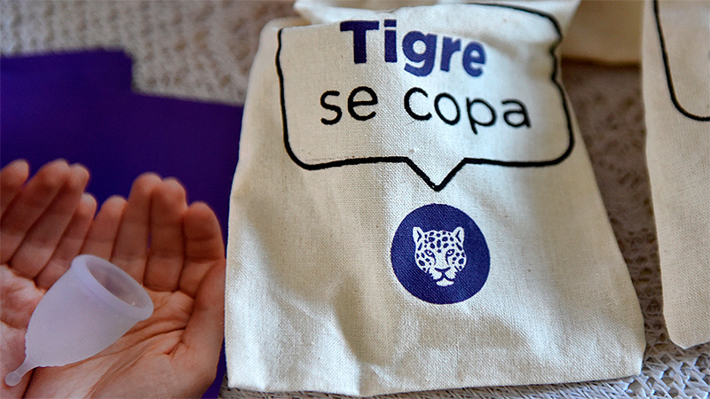 El Municipio realizó un nuevo encuentro del programa Tigre se COPA